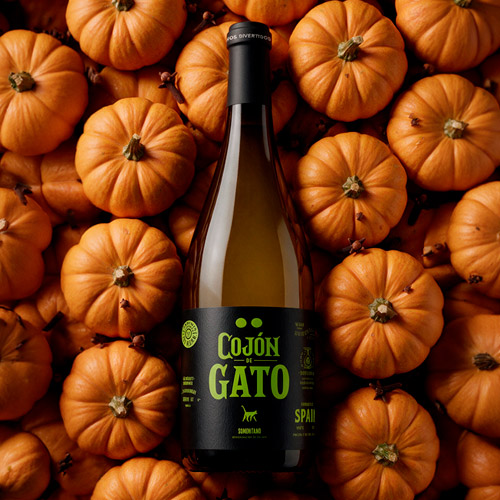 Cojón de Gato Gewürztraminer rodeado de calabazas de otoño
